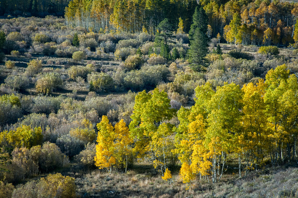 Fall colors1